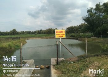 Diduga Asal Jadi, Pembangunan Embung di Desa Gondang Tuai Sorotan