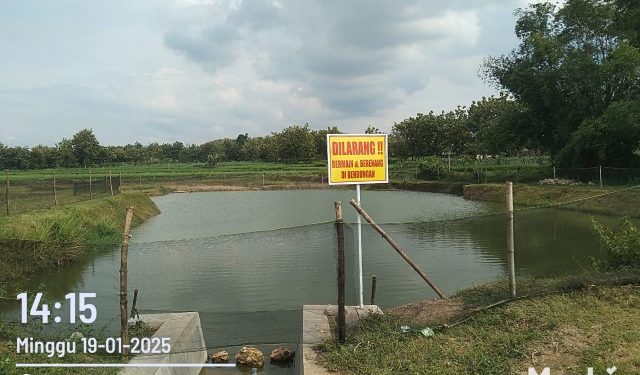 Diduga Asal Jadi, Pembangunan Embung di Desa Gondang Tuai Sorotan