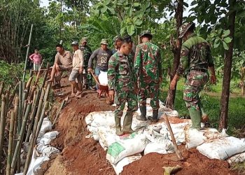 Tanggul Jebol di Desa Angkatan Lor, TNI dan Warga Mulai Perbaiki
