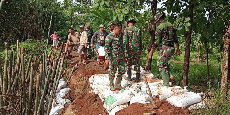 Tanggul Jebol di Desa Angkatan Lor, TNI dan Warga Mulai Perbaiki